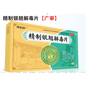 精制银翘解毒片